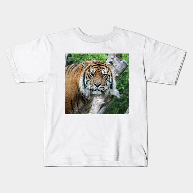 Eye Contact Kids T-Shirt by LeanneAllen